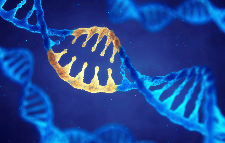 DNA variation gene