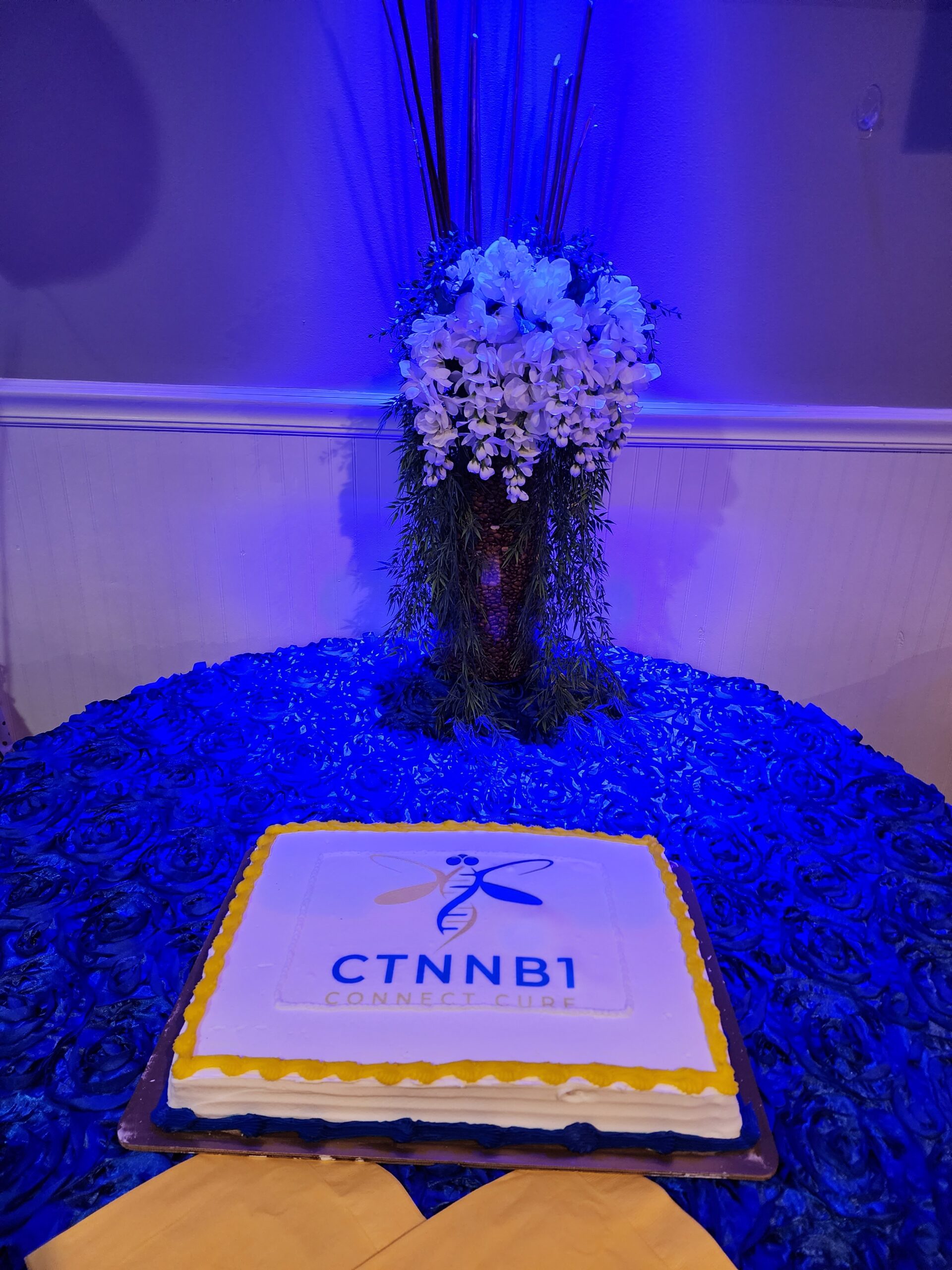 CTNNB1 fundraiser cake